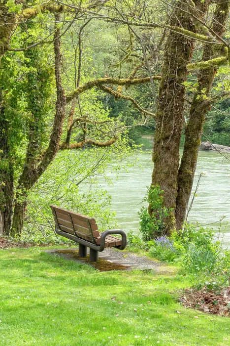 Framed Print : Rockport, Washington State, USA. Bench overlooking Skagit River in Rockport Steelhead Park