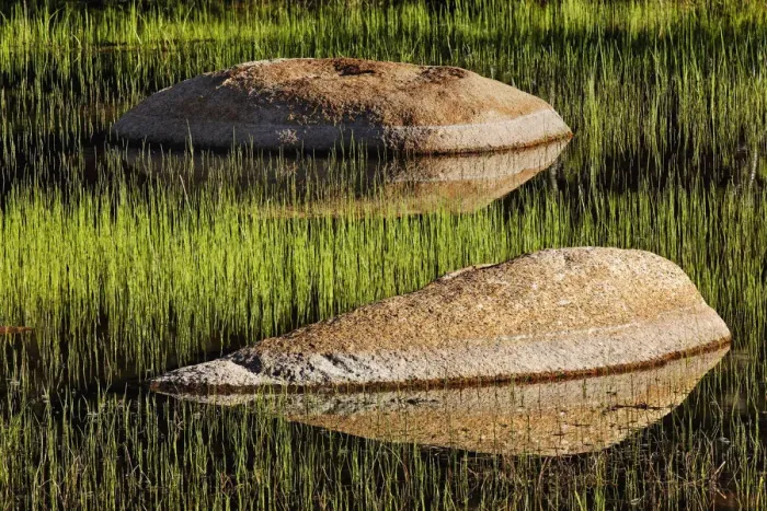 Framed Print : Rocks and grass at first light, Tuolumne Meadows, Yosemite National Park, California Framed Print : Rocks and grass at first light, Tuolumne Meadows, Yosemite National Park, California