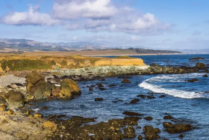 Framed Print : Rocky coastline at Piedras Blancas elephant seal rookery, San Simeon, California USA
