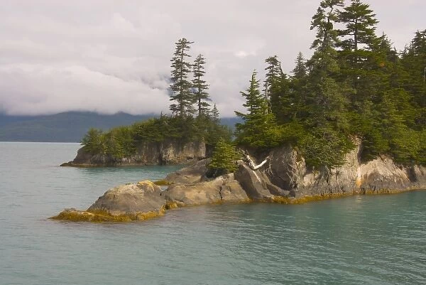Rocky islands with fir trees on Prince William Sound Alaska