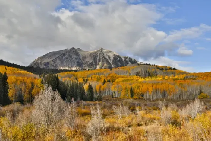 Framed Print : Rocky Mountains Colorado Fall Colors of Aspens, Keebler Pass, with mountain looming above