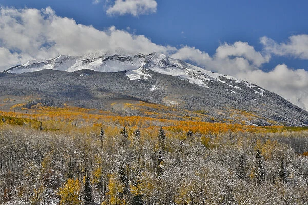 Rocky Mountains Colorado Fall Colors of Aspens and fresh snow Keebler Pass