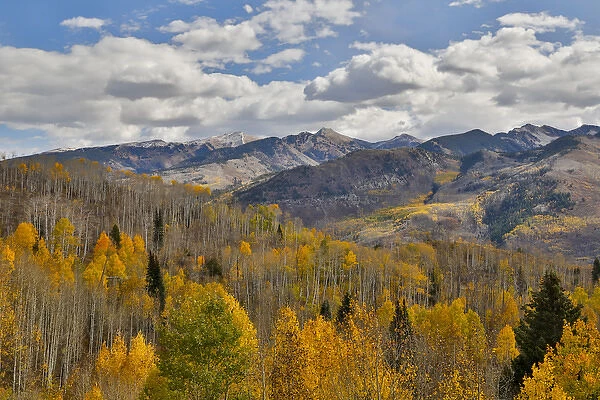 Rocky Mountains Colorado Fall Colors of Aspens and Oaks Keebler Pass, with mountain