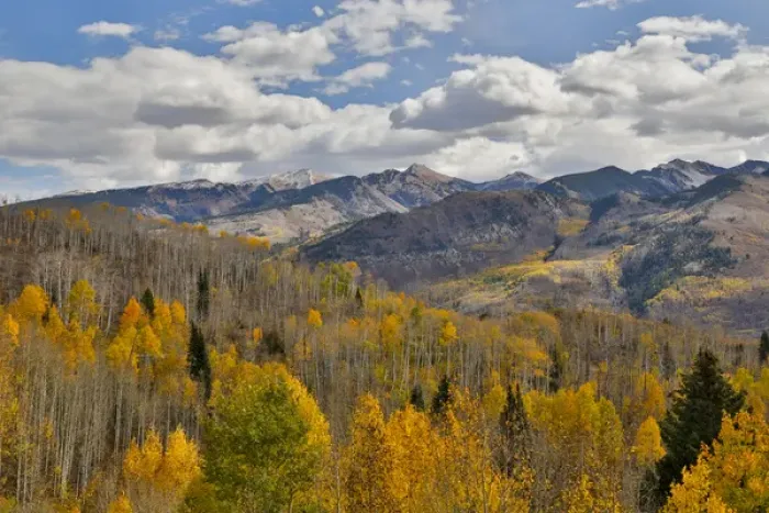 Framed Print : Rocky Mountains Colorado Fall Colors of Aspens and Oaks Keebler Pass, with mountain