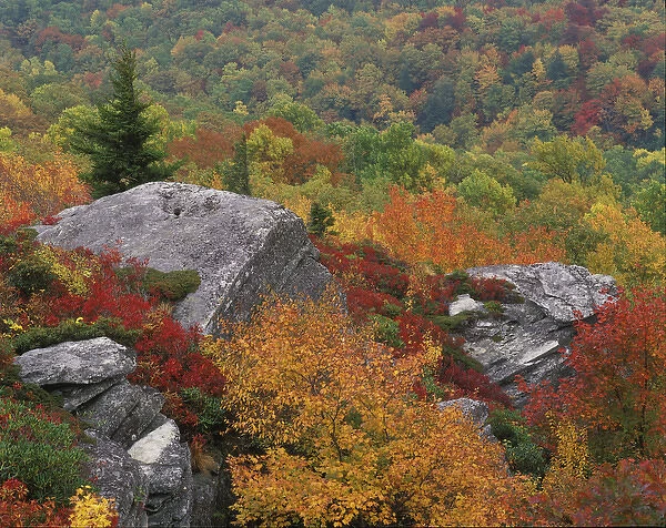 Rocky outcropping and autumn colors, Blue Ridge Parkway, North Carolina
