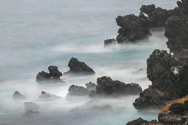 Rocky shoreline of South Plaza Island, Galapagos Islands, Ecuador