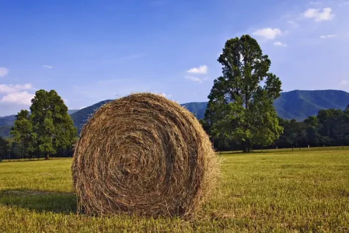 Framed Print : Rolled hay bale, Cades Cove, Great Smoky Mountains National Park, Tennessee
