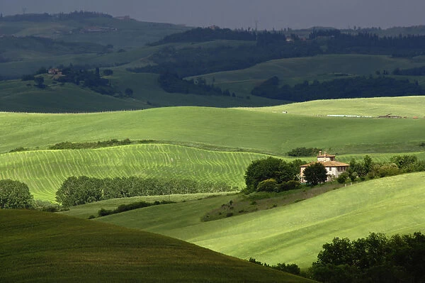 Rolling agricultural farm fields and dappled sunlight, Tuscany, Italy