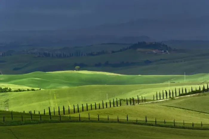 Framed Print : Rolling agricultural farm fields and dappled sunlight, Tuscany, Italy