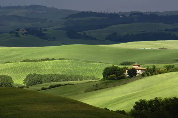 Framed Print : Rolling agricultural farm fields and dappled sunlight, Tuscany, Italy Framed Print : Rolling agricultural farm fields and dappled sunlight, Tuscany, Italy