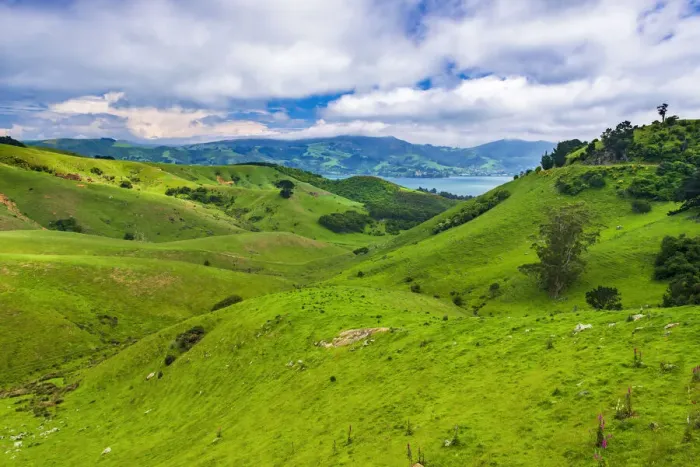 Framed Print : Rolling farmland on the Otago Peninsula, Dunedin, Otago, South Island, New Zealand Framed Print : Rolling farmland on the Otago Peninsula, Dunedin, Otago, South Island, New Zealand