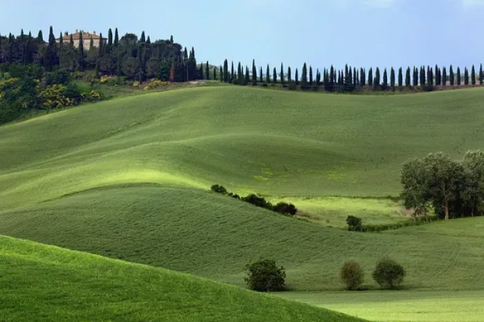 Framed Print : Rolling fields and row of cypress trees, Tuscany, Italy