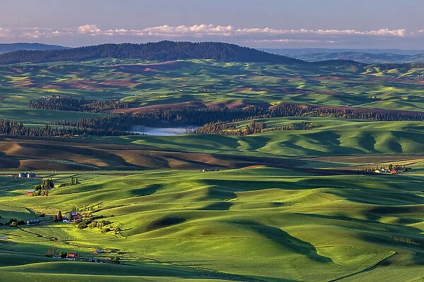 Rolling hills with barns from Steptoe Butte near Colfax, Washington State, USA