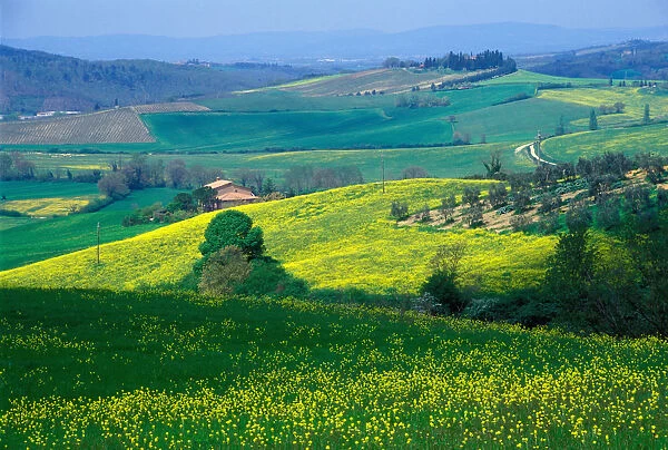 The rolling hills of the Tuscan countryside, North of Siena, Italy