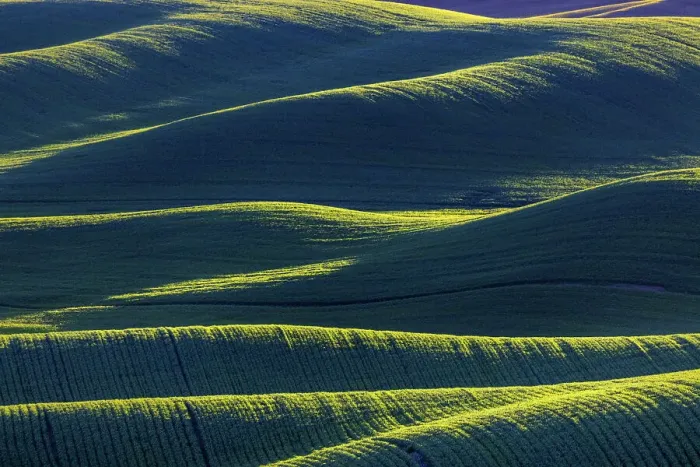 Framed Print : Rolling hills of wheat from Steptoe Butte near Colfax, Washington State, USA Framed Print : Rolling hills of wheat from Steptoe Butte near Colfax, Washington State, USA