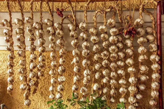 Framed Print : Romania, Carpathian Mountains, Prahova County, Sinaia. Braids of Garlic drying