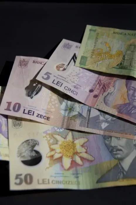 Framed Print : Romania. Romanian currency the Lei. Assorted bills Framed Print : Romania. Romanian currency the Lei. Assorted bills