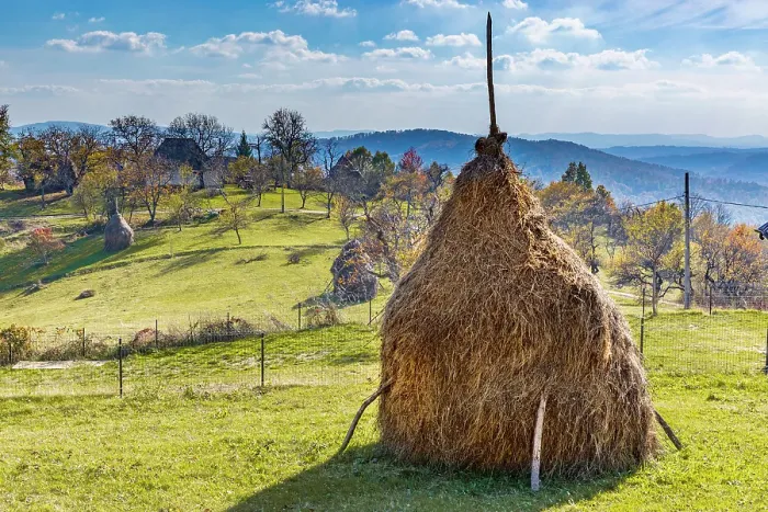 Framed Print : Romania, Transylvania, Aspra Traditional hay stacks