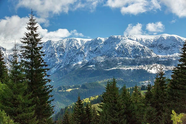 Romania, Transylvania, Carpathian Mountains. Hillside