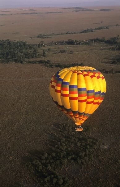 Romantic early morning balloon safari ride over the Msai Mara jungles of Kenya