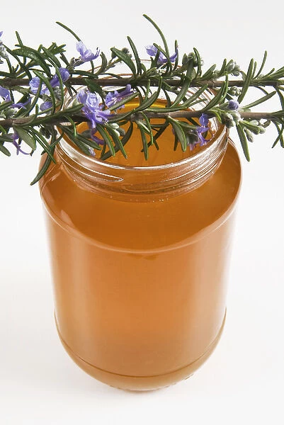 Rosemary (rosmarinus officinalis) honey in jar
