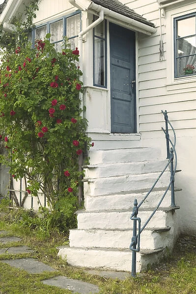 roses adorn a home in Ulvik on the shores of Hardanger Fjord, Norway