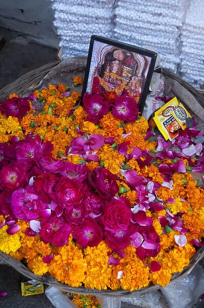 Roses and marigolds, the flowers of Pushkar, Rajasthan, India