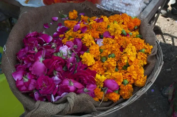 Framed Print : Roses and marigolds, the flowers of Pushkar, Rajasthan, India Framed Print : Roses and marigolds, the flowers of Pushkar, Rajasthan, India