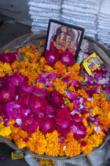 Framed Print : Roses and marigolds, the flowers of Pushkar, Rajasthan, India Framed Print : Roses and marigolds, the flowers of Pushkar, Rajasthan, India