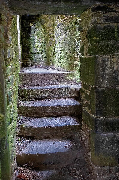 Ross Errily Friary. Located in County Clare, Ireland. These ancient stairs lead to a room that no longer has a roof