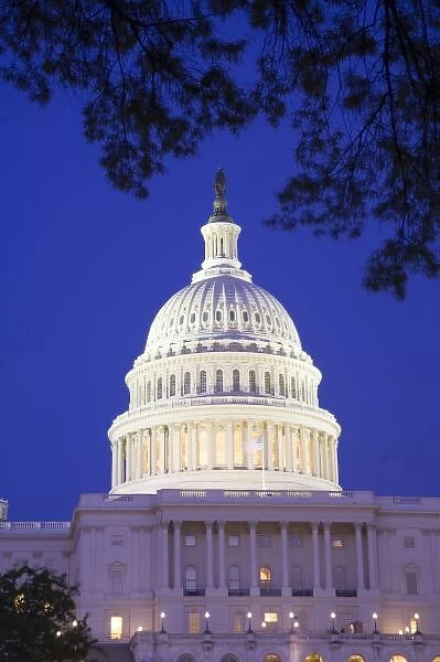 Rotunda of U. S. Capitol at night, Washington D. C. (District of Columbia), United States