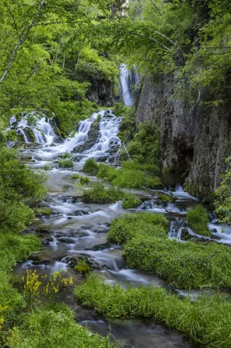 Framed Print : Roughlock Falls in Spearfish Canyon in the Black Hills National Forest, South Dakota, USA Framed Print : Roughlock Falls in Spearfish Canyon in the Black Hills National Forest, South Dakota, USA