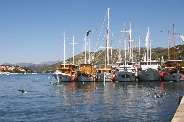 A row of beautiful wooden cruising, sailing and fishing boats ships yachts painted