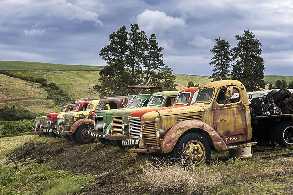 Row of colorful old trucks, Palouse region of eastern Washington