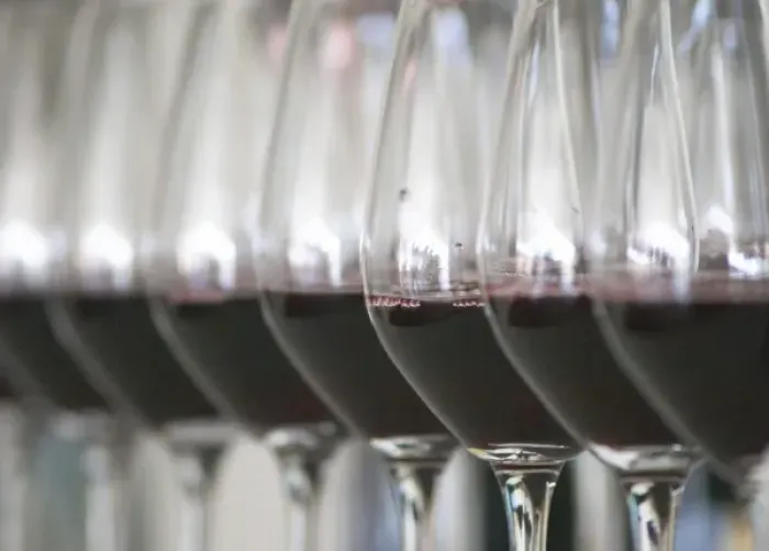 Framed Print : A row of glasses filled with wine for tasting in the tasting room Chateau Paloumey Framed Print : A row of glasses filled with wine for tasting in the tasting room Chateau Paloumey