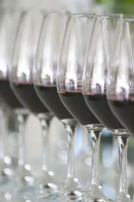 Framed Print : A row of glasses filled with wine for tasting in the tasting room Chateau Paloumey Framed Print : A row of glasses filled with wine for tasting in the tasting room Chateau Paloumey