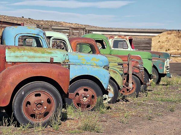 Row of old trucks in a field in the Palouse