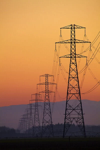 Row of power pylons at sunset, Mid Canterbury, South Island, New Zealand