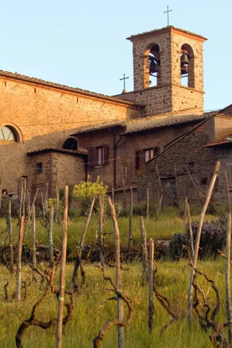 Framed Print : Above rows of grapevines, a church bell tower stands, in the Lamole area of Tuscany Framed Print : Above rows of grapevines, a church bell tower stands, in the Lamole area of Tuscany