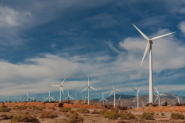 Rows of windmills on a wind farm. Palm Springs, California