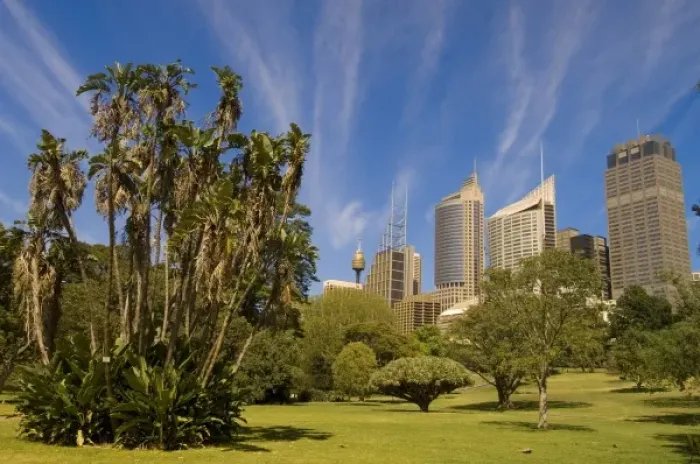 Framed Print : Royal Botanic Gardens, Sydney, New South Wales, Australia