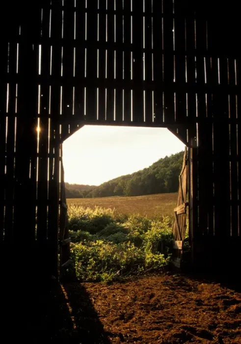 Framed Print : Rural, barn, morning