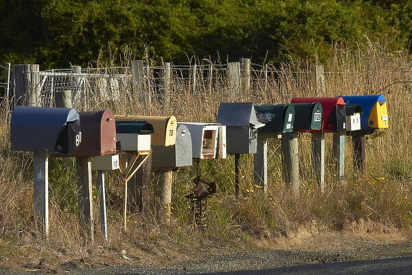 Rural Letterboxes, Otakou, Otago Peninsula, Dunedin, South Island, New Zealand