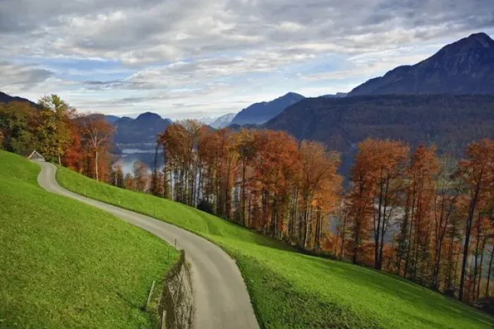 Framed Print : Rural road and autumn foliage along lake, near Lucerne, Switzerland