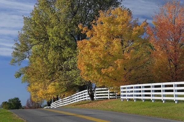 Rural road through Bluegrass region of Kentucky in autumn season near Lexington, Kentucky