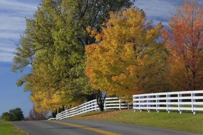 Framed Print : Rural road through Bluegrass region of Kentucky in autumn season near Lexington, Kentucky Framed Print : Rural road through Bluegrass region of Kentucky in autumn season near Lexington, Kentucky