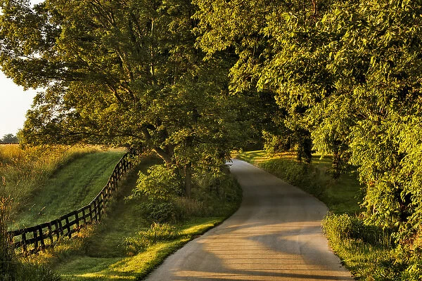 Rural road and fence at sunrise, Oldham County, Kentucky