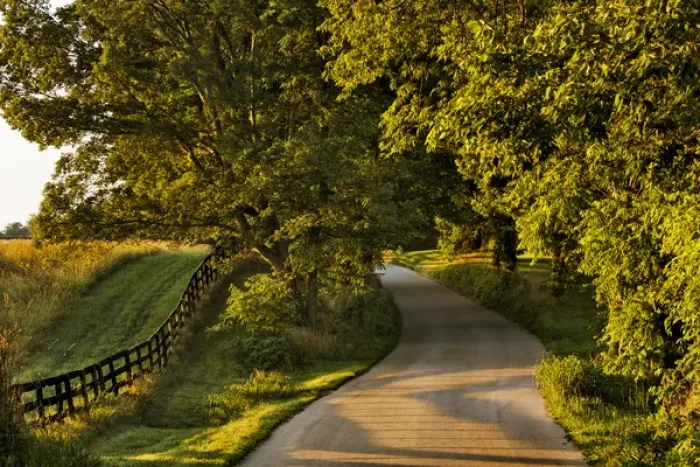 Framed Print : Rural road and fence at sunrise, Oldham County, Kentucky