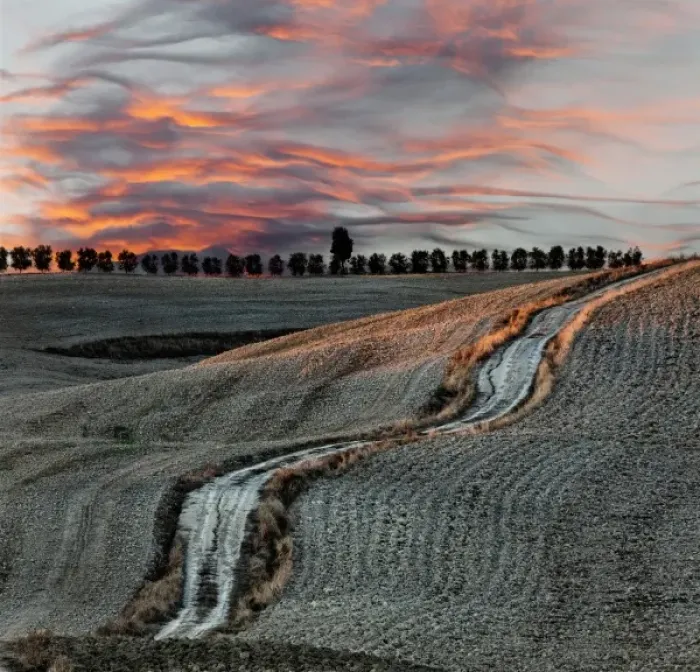 Framed Print : Rural road and harvested fields at sunset, San Quirico d Orcia, Tuscany, Italy Framed Print : Rural road and harvested fields at sunset, San Quirico d Orcia, Tuscany, Italy