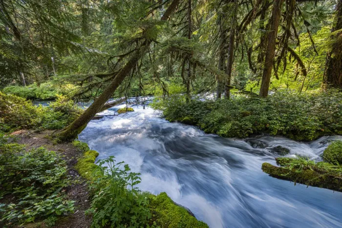Framed Print : Rushing water in pristine Olallie Creek near McKenzie River, Willamette National Forest Framed Print : Rushing water in pristine Olallie Creek near McKenzie River, Willamette National Forest